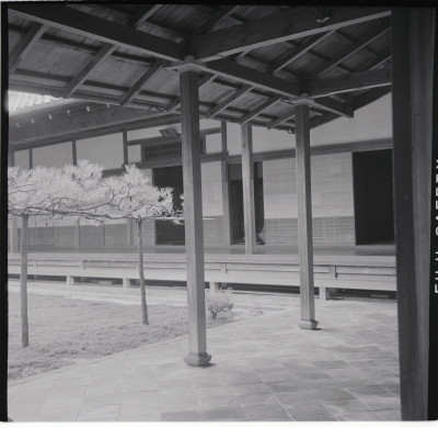 knd_11660(京都府京都市北区紫野大徳寺町５８)