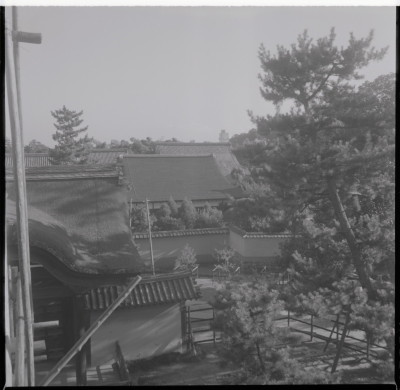 knd_11874(京都府京都市北区紫野大徳寺町８２?１)