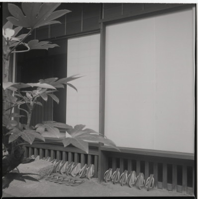 knd_11899(京都府京都市北区紫野大徳寺町１４)