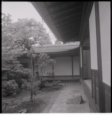 knd_11967(京都府京都市北区紫野大徳寺町１４)