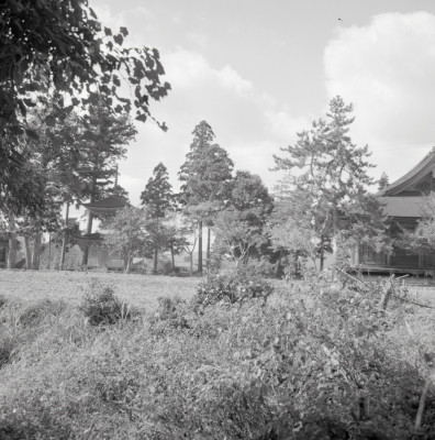 knd_12148(京都府船井郡京丹波町下山岩ノ上２２)