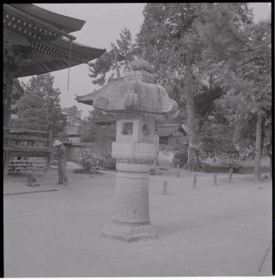 knd_12946(京都府宮津市文珠)