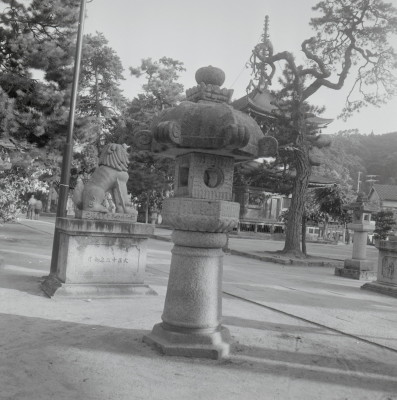 knd_12953(京都府宮津市文珠)