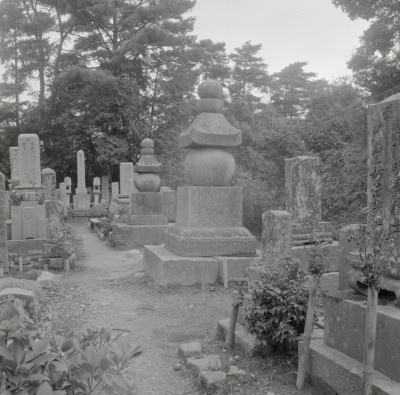 knd_13074(京都府木津川市加茂町南大門芋谷)