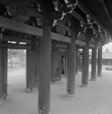 knd_13205(京都府京都市東山区本町１５丁目８０２)