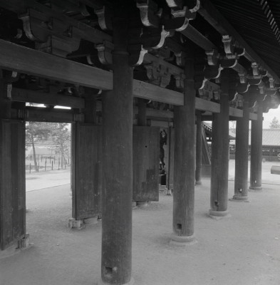 knd_13220(京都府京都市東山区本町１５丁目８０２)