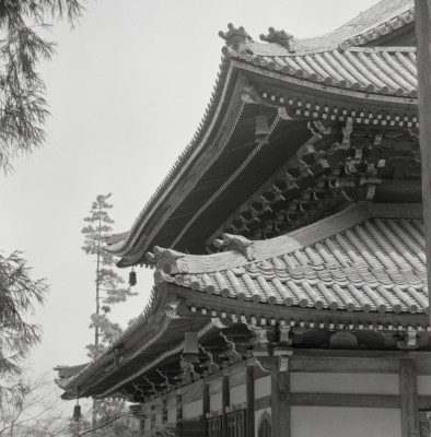 knd_13782(京都府京都市左京区南禅寺福地町)