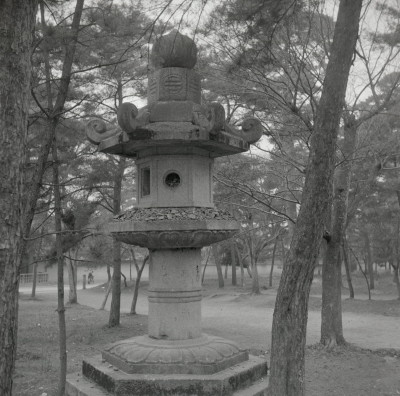 knd_13788(京都府京都市左京区南禅寺福地町)