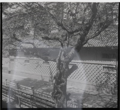 knd_14130(京都府京都市下京区門前町６０)