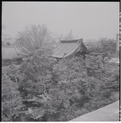 knd_14961(京都府京都市下京区門前町６０)