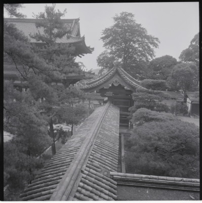 knd_15392(京都府京都市右京区御室大内)