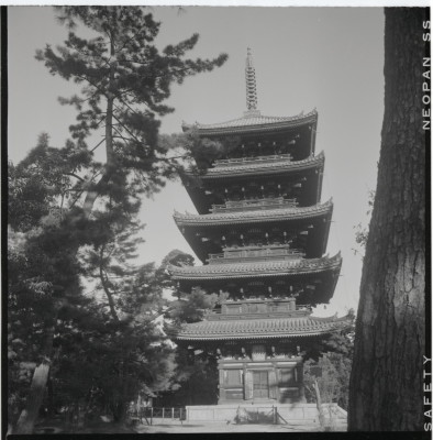 knd_15443(京都府京都市右京区御室大内)