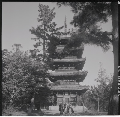 knd_15444(京都府京都市右京区御室大内)