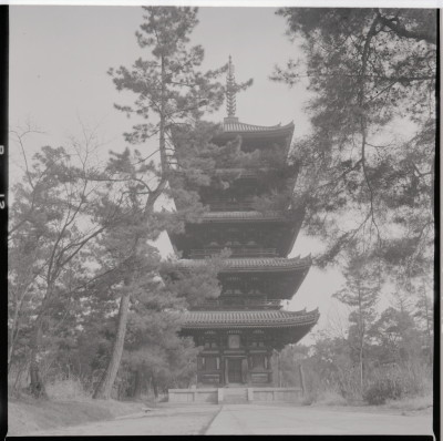 knd_15445(京都府京都市右京区御室大内)