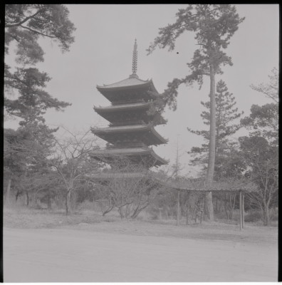 knd_15446(京都府京都市右京区御室大内)