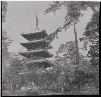 knd_15447(京都府京都市右京区御室大内)