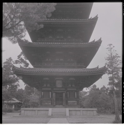 knd_15462(京都府京都市右京区御室大内)