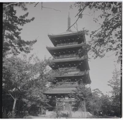 knd_15463(京都府京都市右京区御室大内)