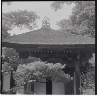 knd_15469(京都府京都市右京区御室大内)
