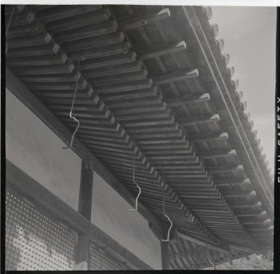 knd_15490(京都府京都市右京区御室大内)