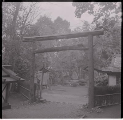 knd_15532(京都府京都市右京区嵯峨野々宮町１)