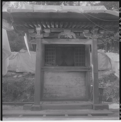 knd_15552(京都府京田辺市宮津白山)