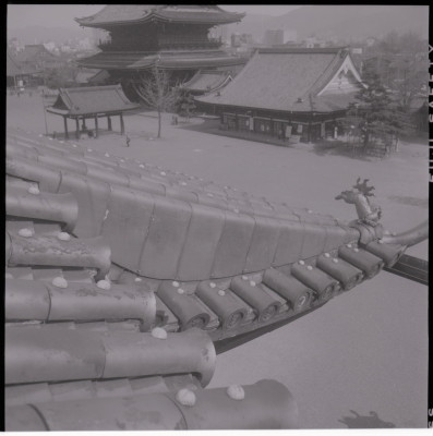 knd_15831(京都府京都市下京区常葉町)