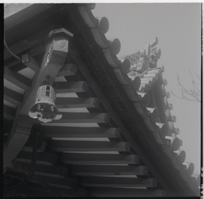 knd_15913(京都府京都市山科区安朱稲荷山町１８)