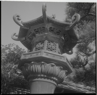 knd_15951(京都府京都市山科区安朱稲荷山町１８)
