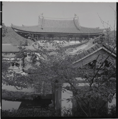 knd_15970(京都府宇治市宇治蓮華１１６)