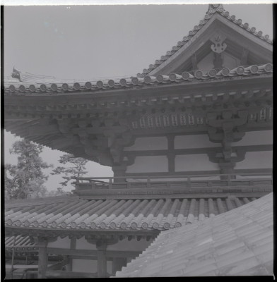 knd_15992(京都府宇治市宇治蓮華１１６)