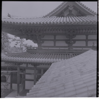 knd_15993(京都府宇治市宇治蓮華１１６)