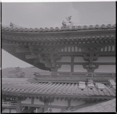 knd_16002(京都府宇治市宇治蓮華１１６)