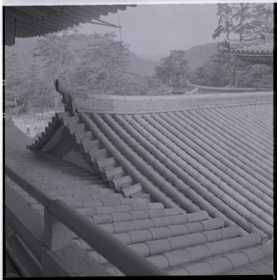 knd_16065(京都府宇治市宇治蓮華１１６)
