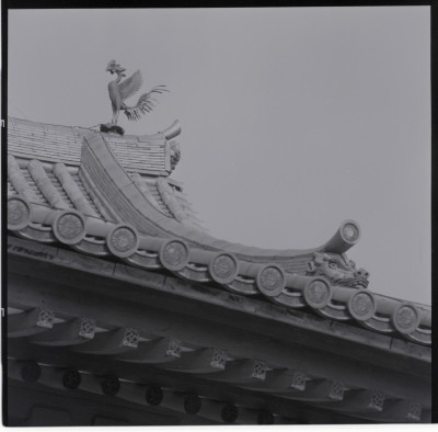 knd_16070(京都府宇治市宇治蓮華１１６)