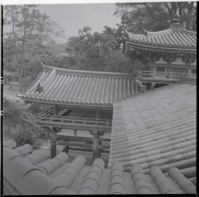 knd_16152(京都府宇治市宇治蓮華１１６)