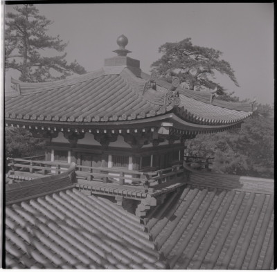 knd_16184(京都府宇治市宇治蓮華１１６)