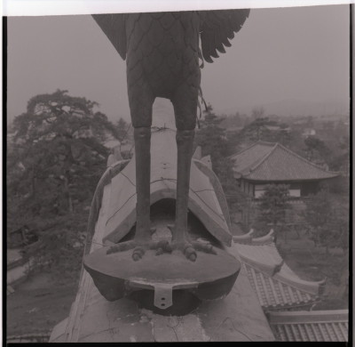 knd_16214(京都府宇治市宇治蓮華１１６)