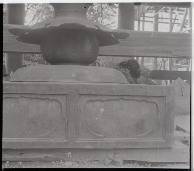 knd_16228(京都府宇治市宇治蓮華１１６)