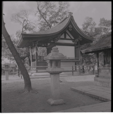 knd_16361(京都府京都市伏見区深草鳥居崎町６０９)