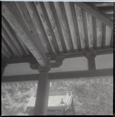 knd_16567(京都府京都市伏見区日野西大道町)