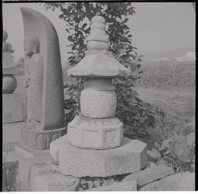 knd_16757(京都府京都市伏見区下鳥羽中三町)
