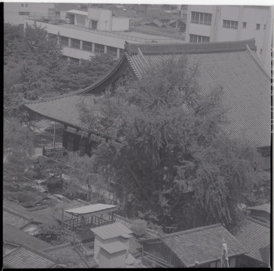 knd_16839(京都府京都市中京区下本能寺前町５２２?１)