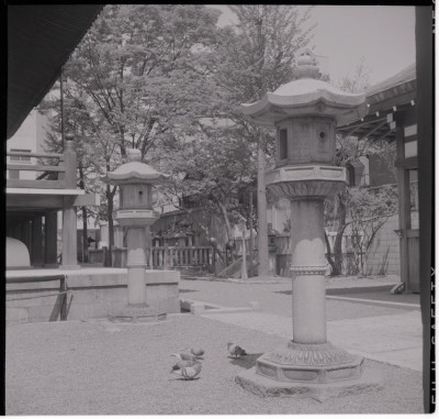 knd_16863(京都府京都市中京区下本能寺前町５２２?１)