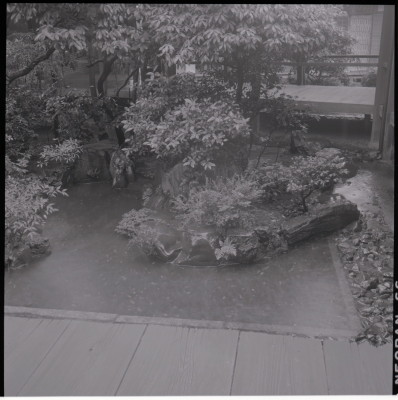 knd_16892(京都府京都市上京区本法寺前町６１７)