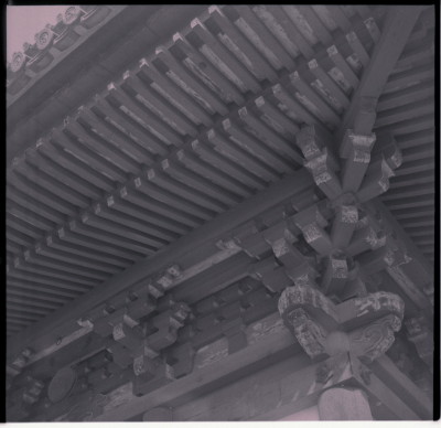 knd_16906(京都府京都市上京区本法寺前町６１７)