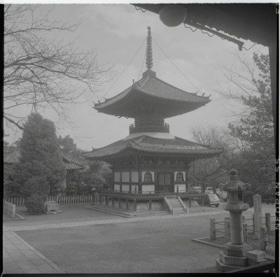 knd_16909(京都府京都市上京区本法寺前町６１７)