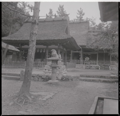 knd_16985(京都府南丹市園部町竹井宮ノ口３)