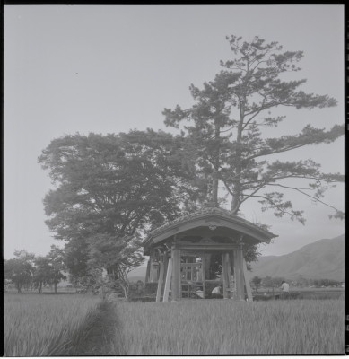 knd_16995(京都府南丹市園部町竹井宮ノ口３)