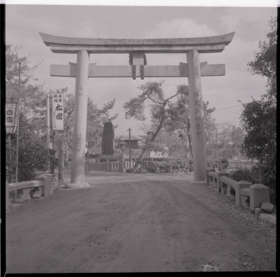 knd_17034(京都府京都市西京区嵐山宮町３)